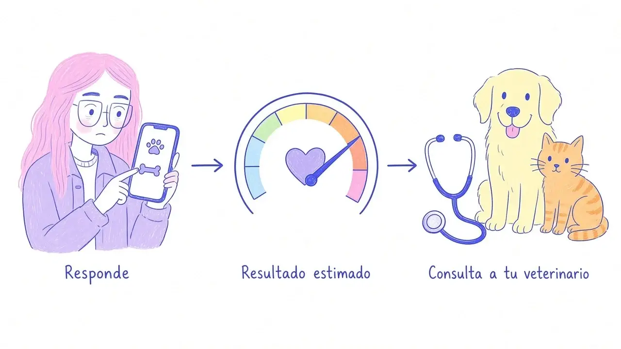Infografía ilustrada en tres pasos: responder preguntas, ver el resultado estimado y consultar al veterinario