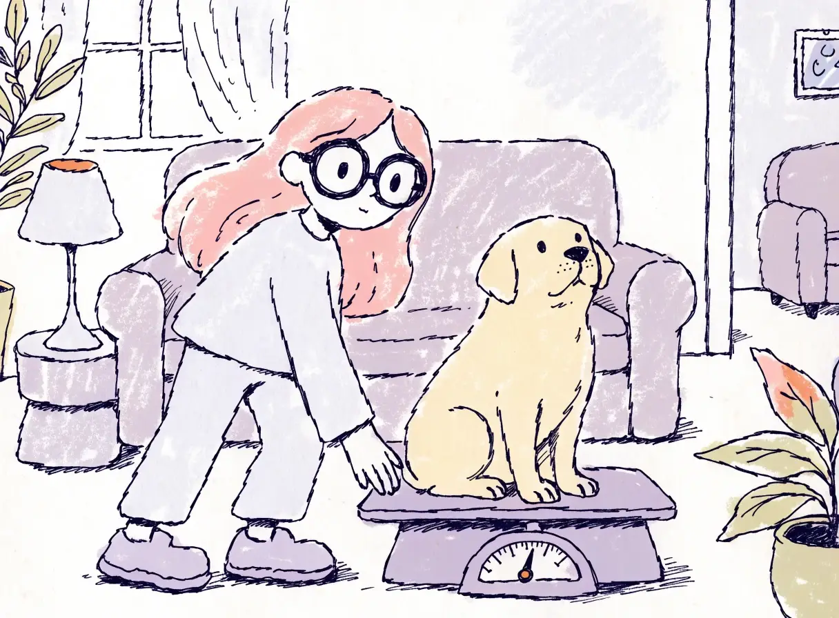 Ilustración de la niña de pelo rosa pesando a Térra, labradora adulta, en una báscula para mascotas en casa